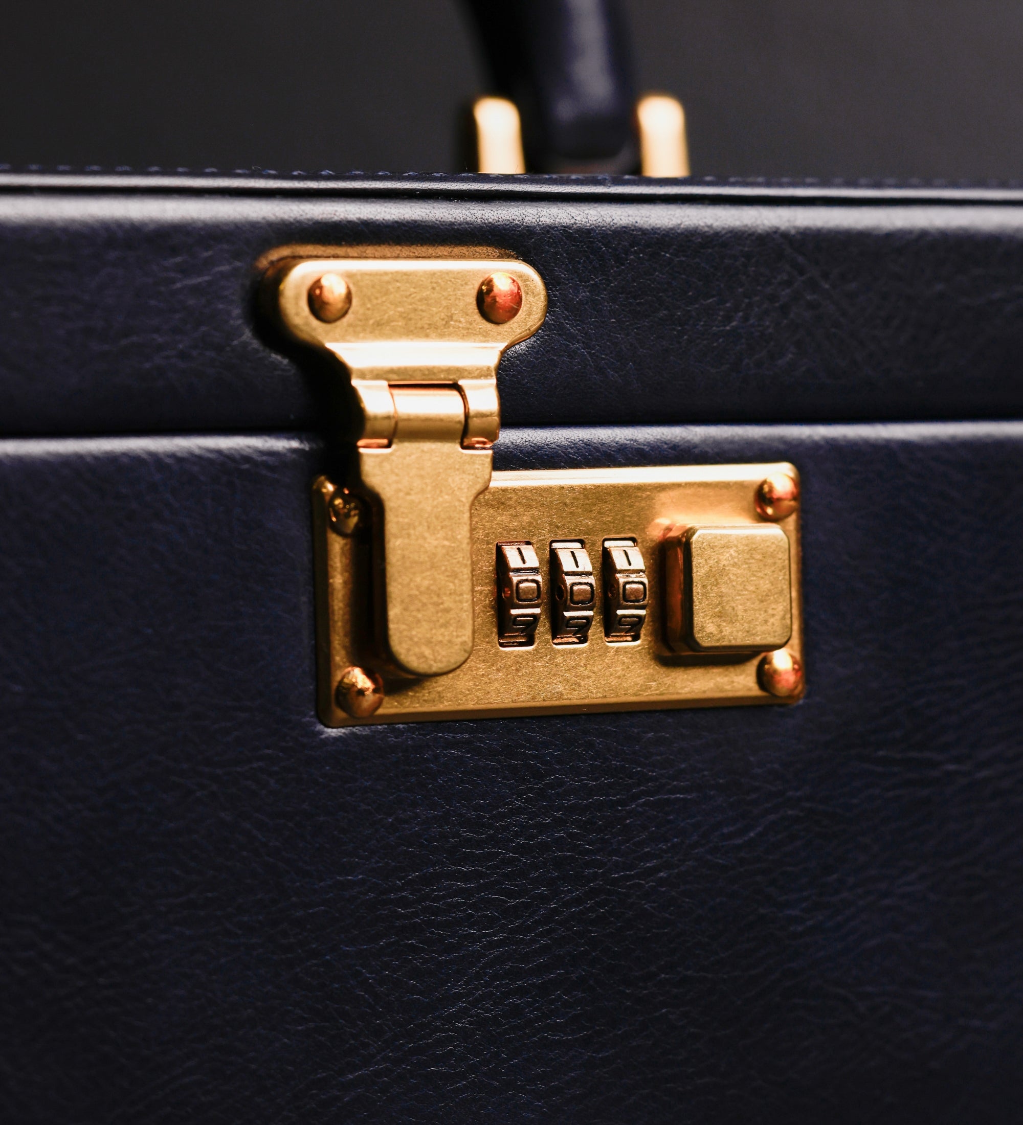 Large Leather Jewelry Box for Women - The Portrait of a Lady